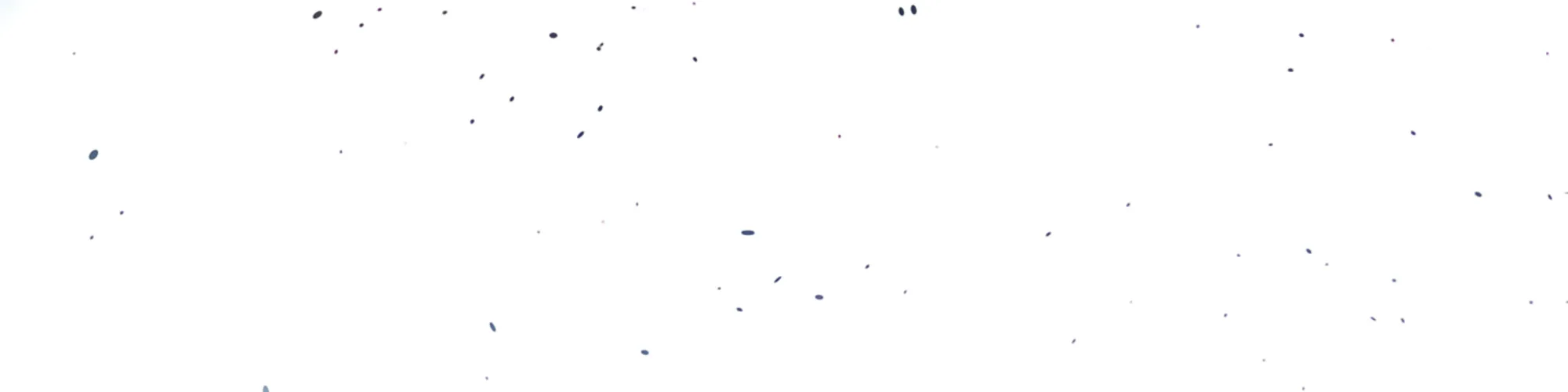 Reaper of the Drifting Moon