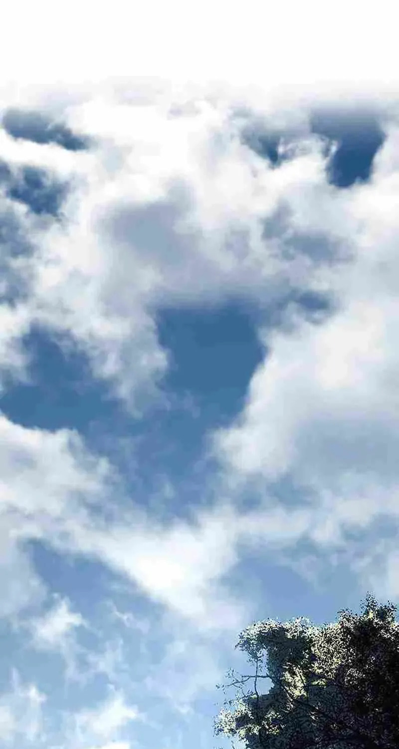 Reaper of the Drifting Moon