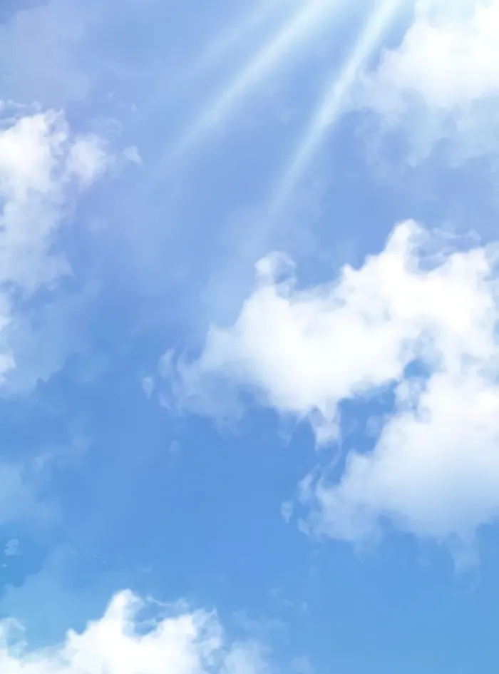 The Berserker's Second Playthrough