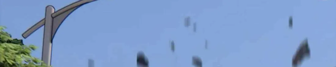 The Apocalypse is Here