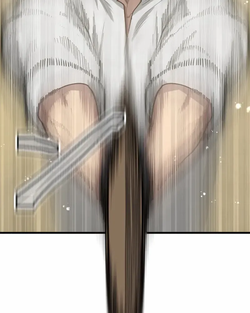 The Regressed Sword Saint’s Magic Theory