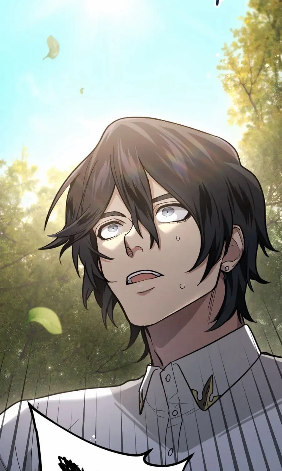 The Regressed Sword Saint’s Magic Theory