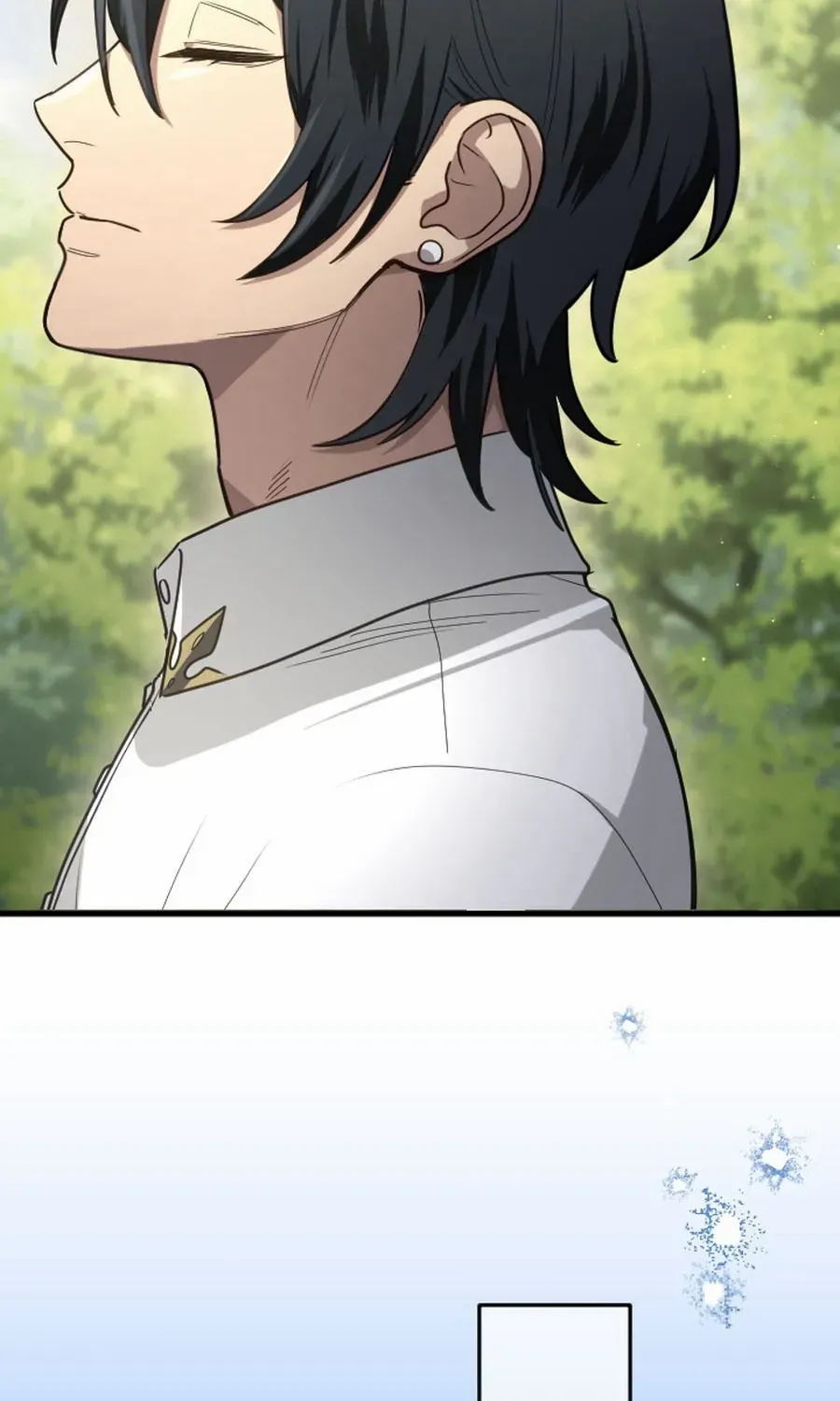 The Regressed Sword Saint’s Magic Theory