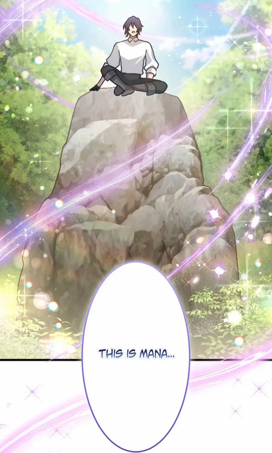 The Regressed Sword Saint’s Magic Theory