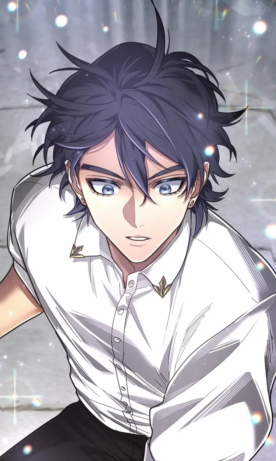 The Regressed Sword Saint’s Magic Theory