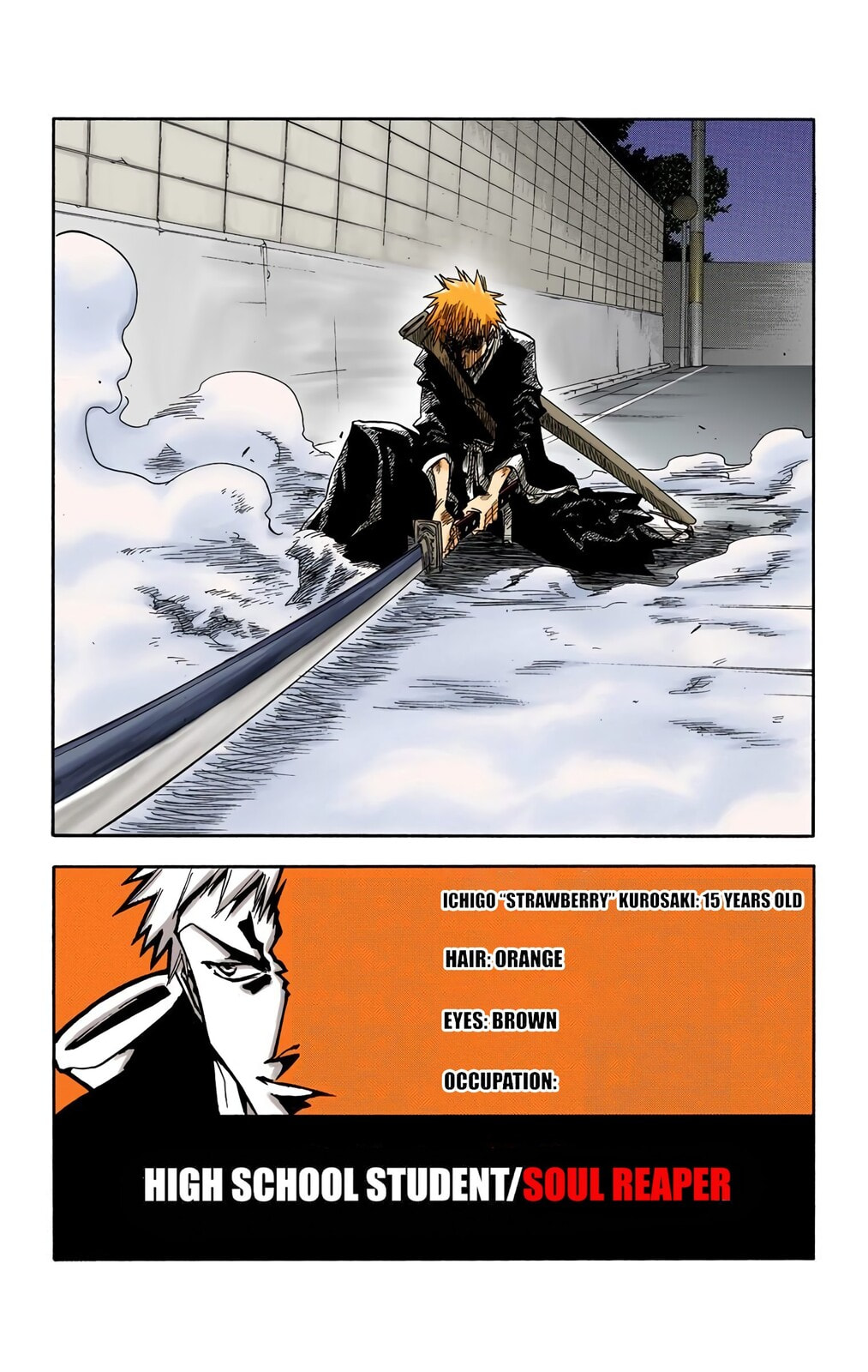Bleach Colored Manga