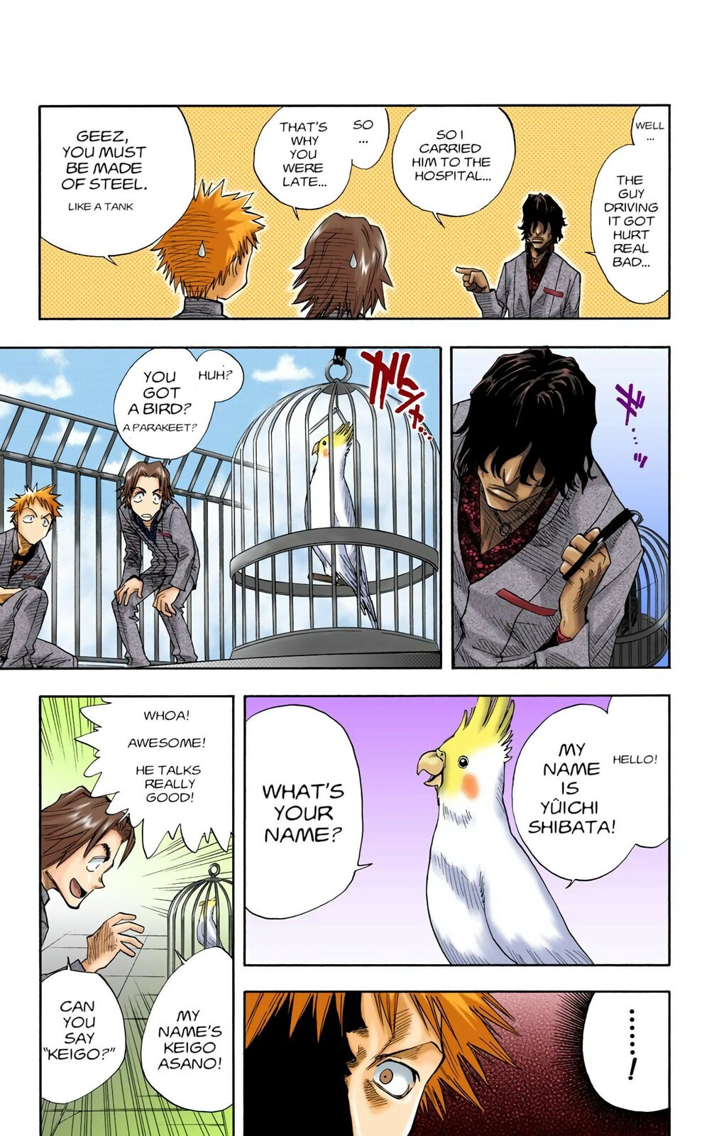 Bleach Colored Manga