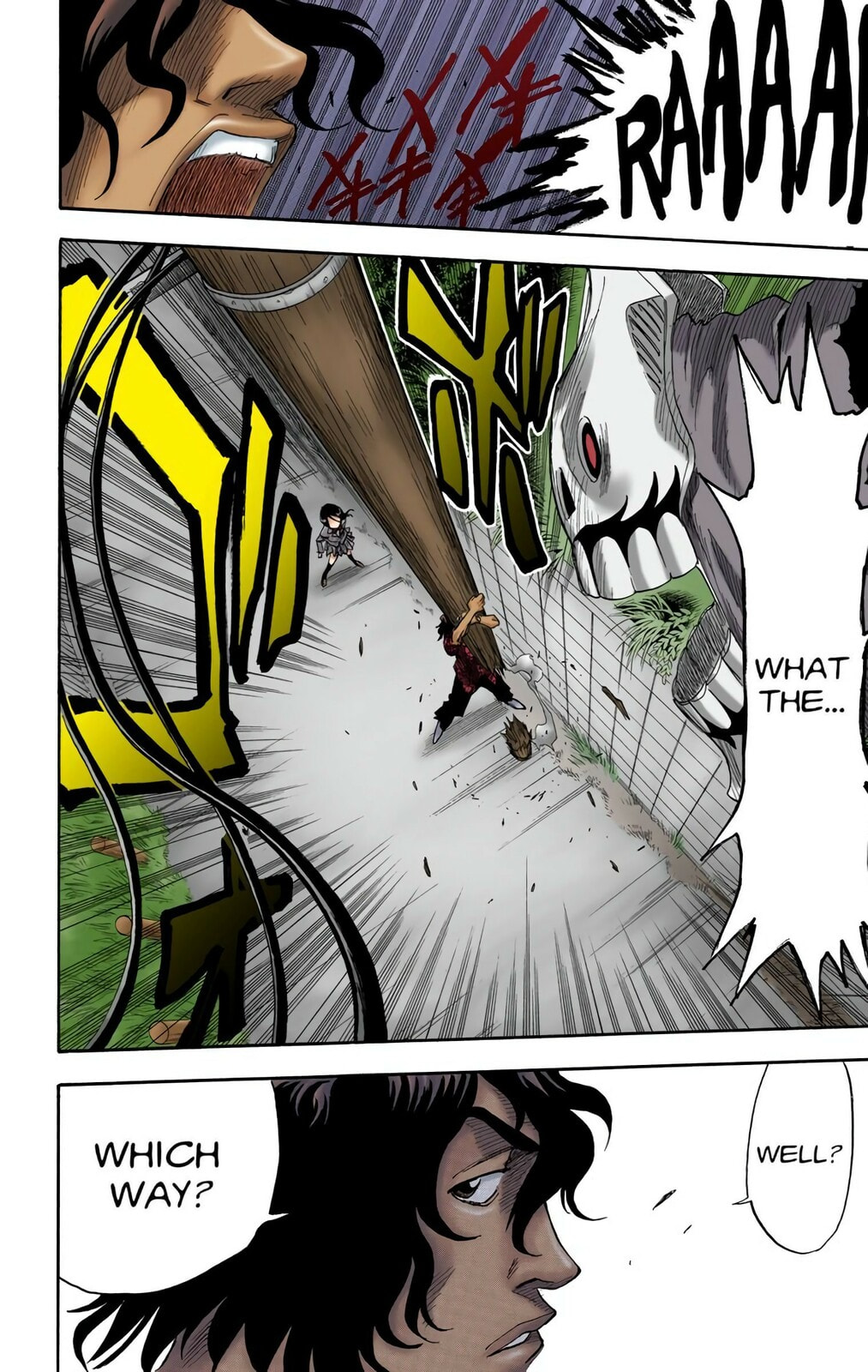 Bleach Colored Manga