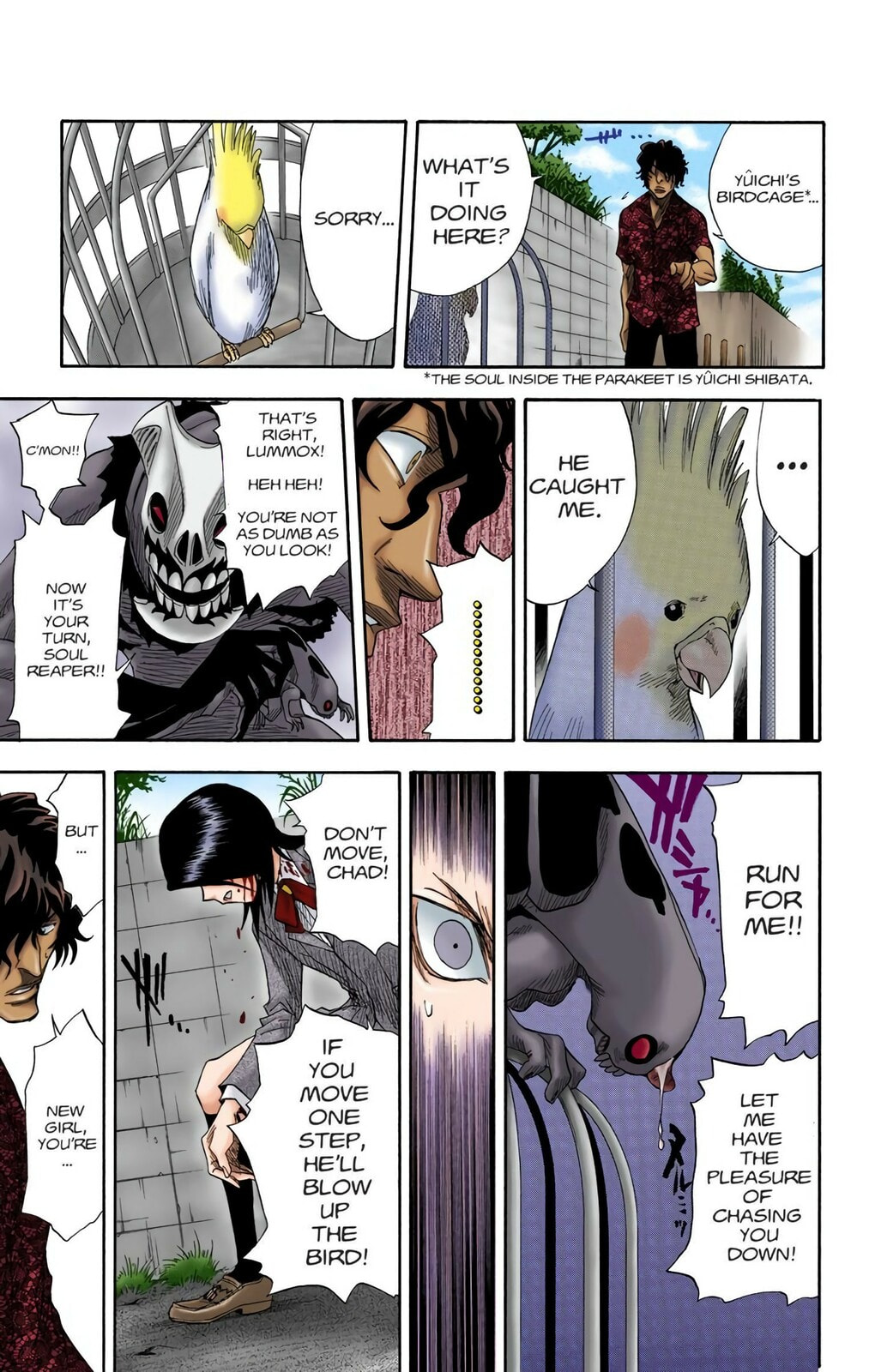 Bleach Colored Manga