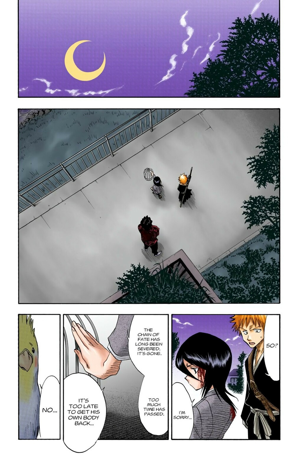 Bleach Colored Manga