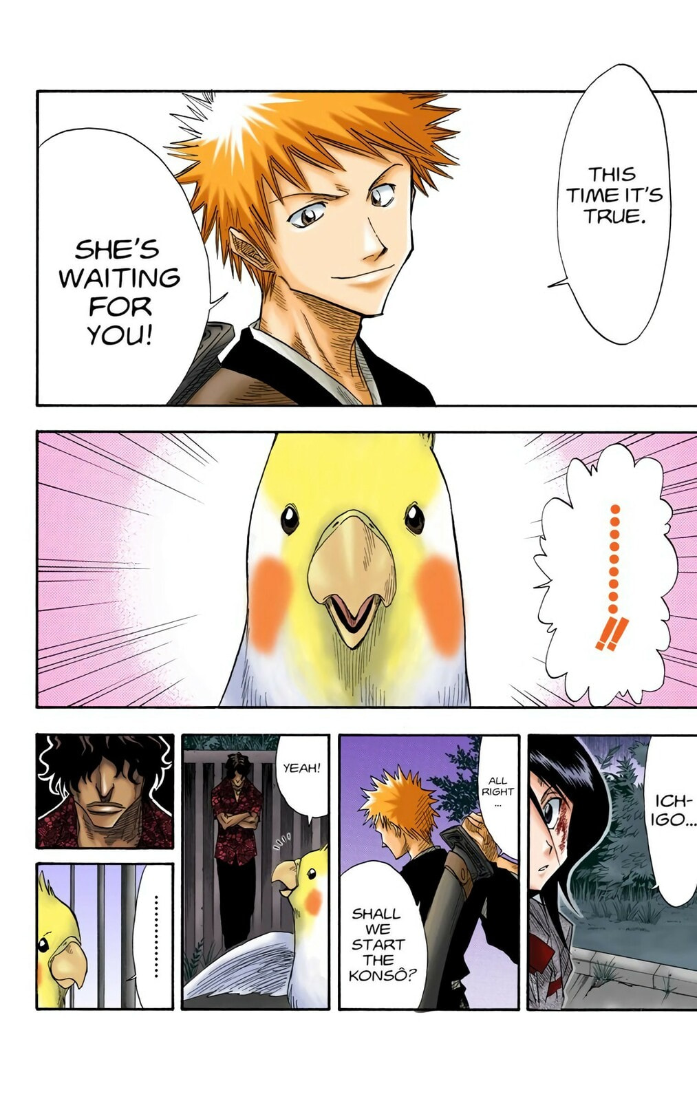 Bleach Colored Manga