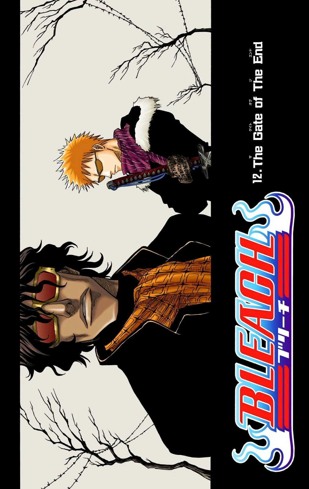 Bleach Colored Manga