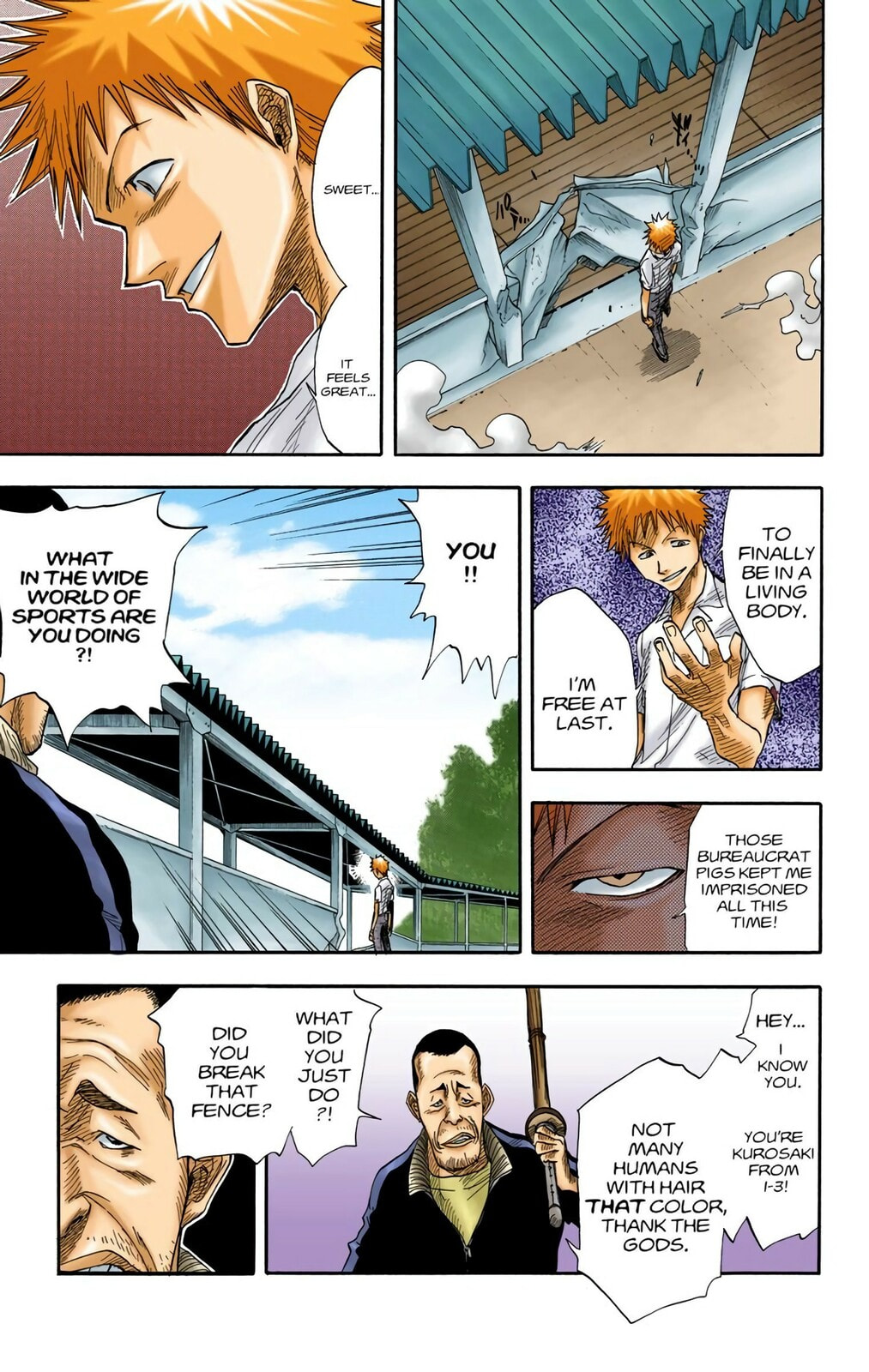 Bleach Colored Manga