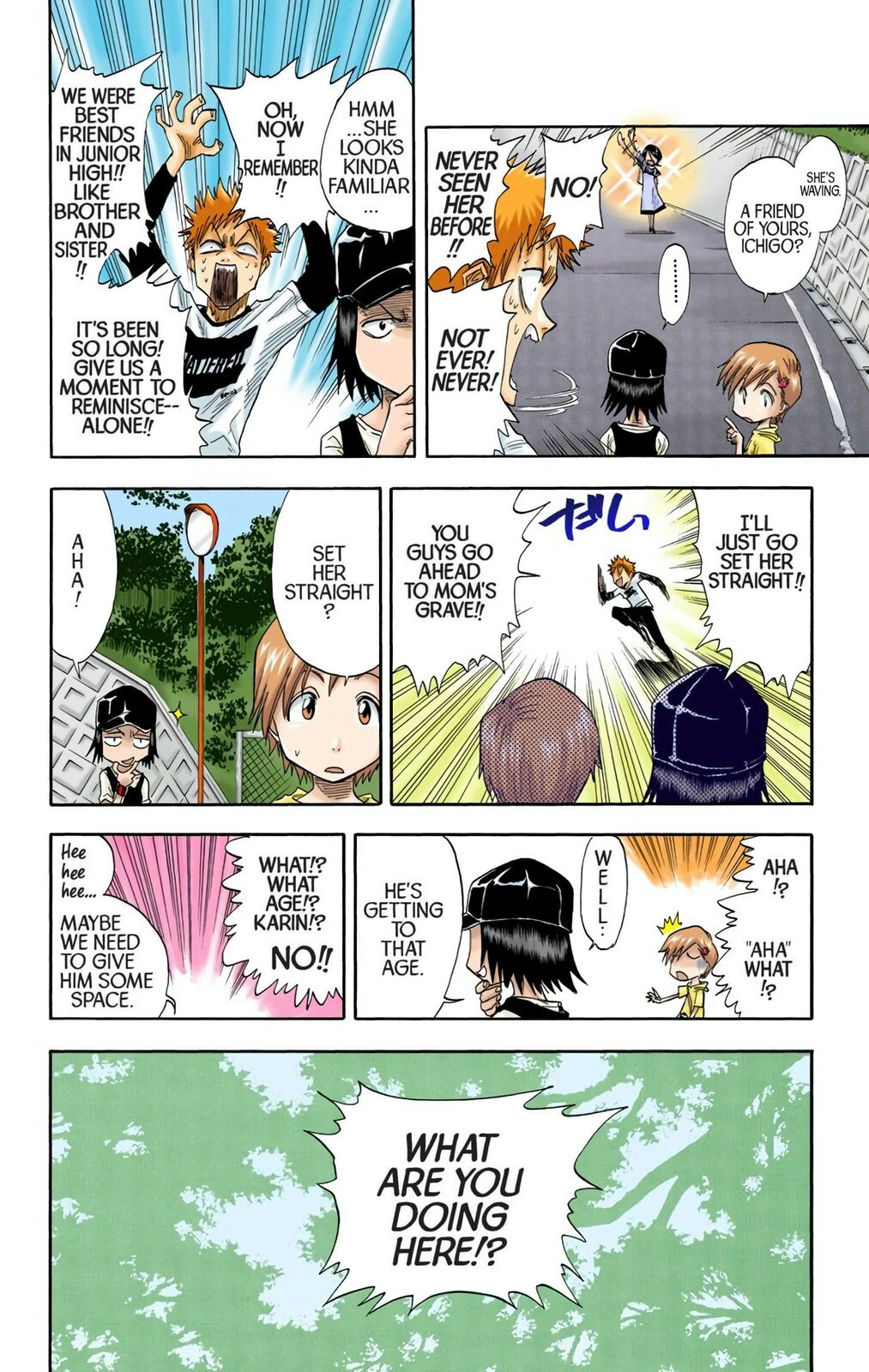 Bleach Colored Manga