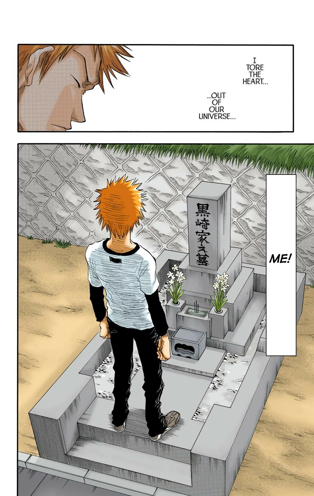 Bleach Colored Manga