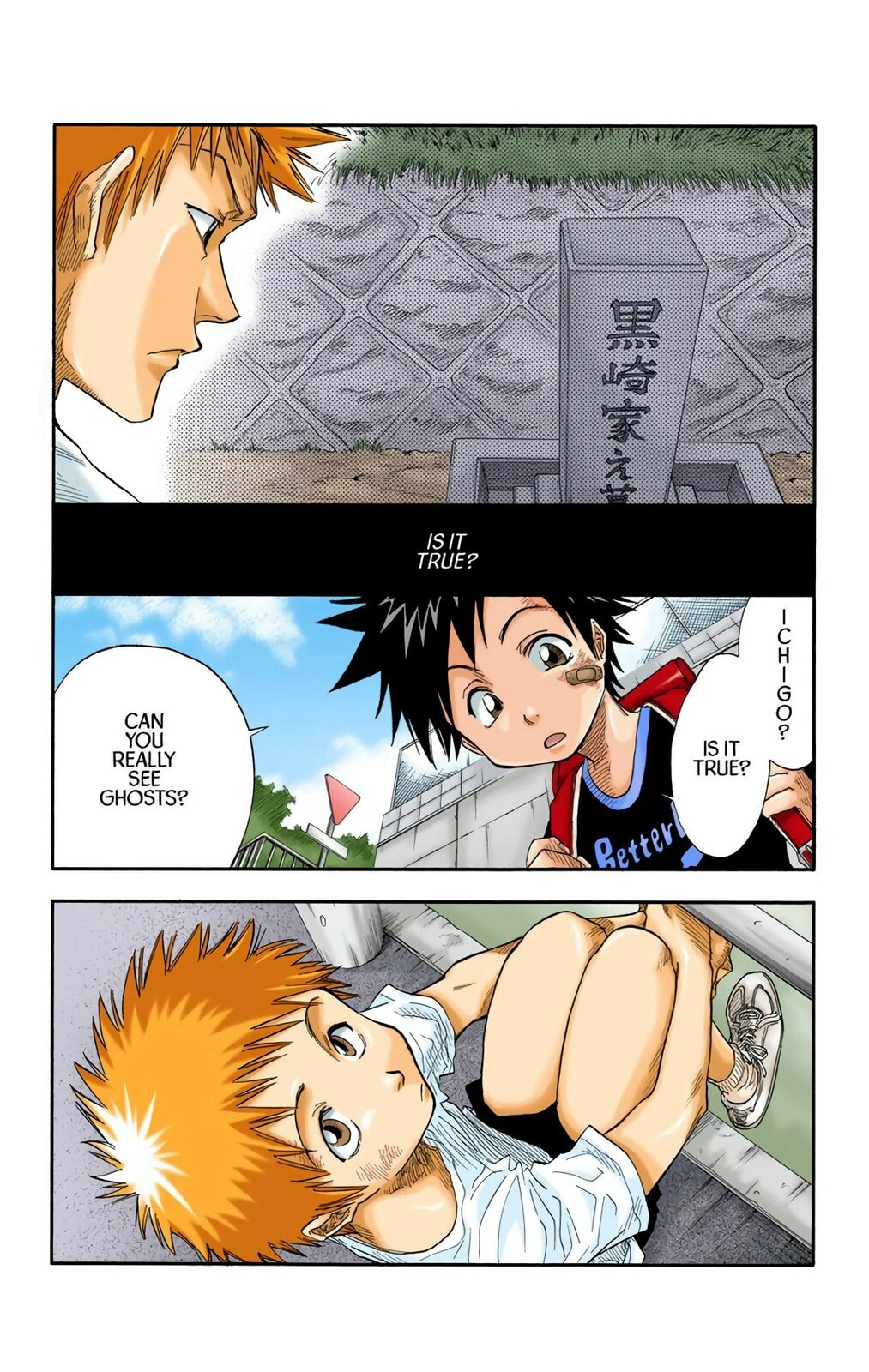 Bleach Colored Manga