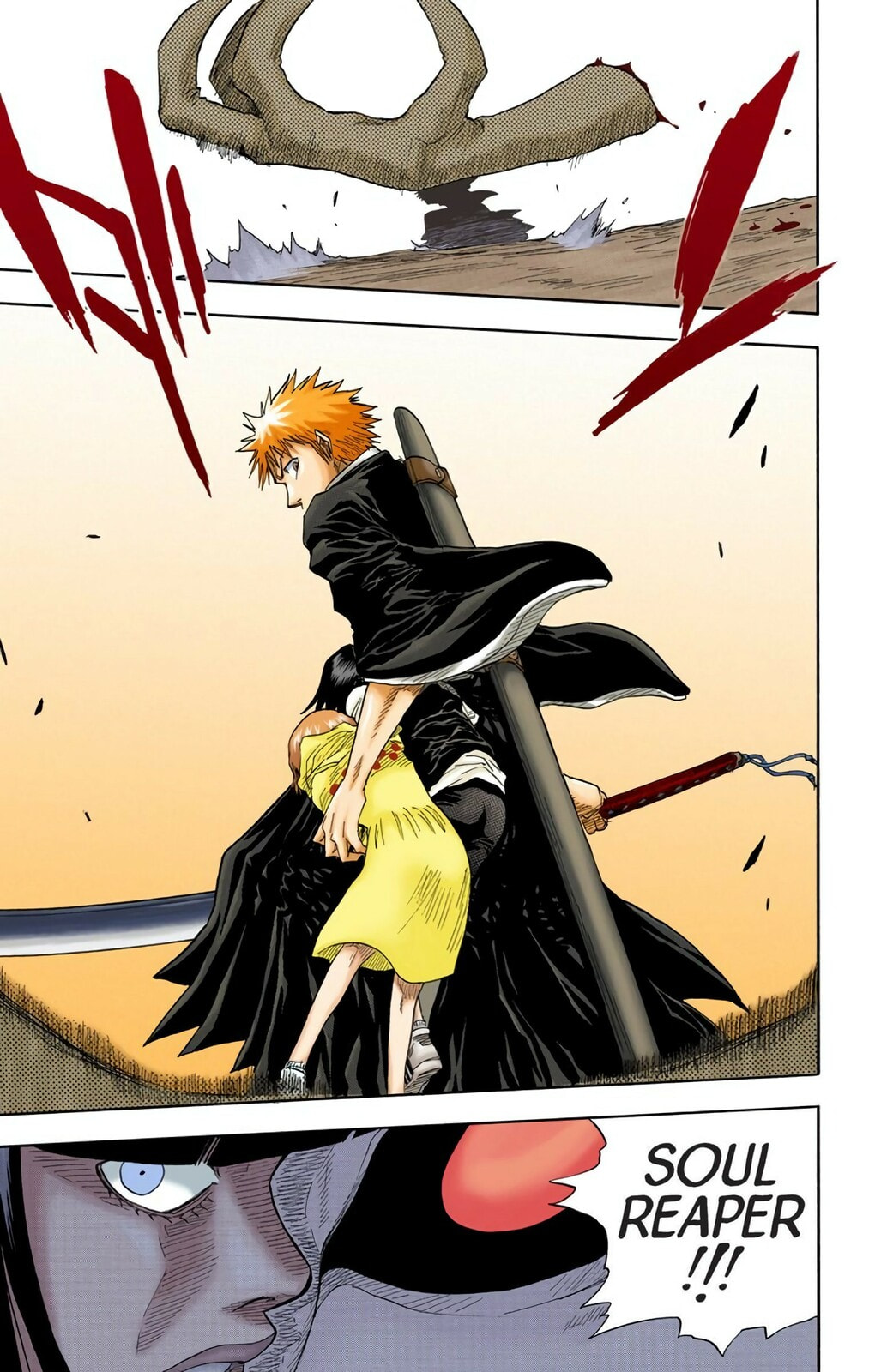 Bleach Colored Manga