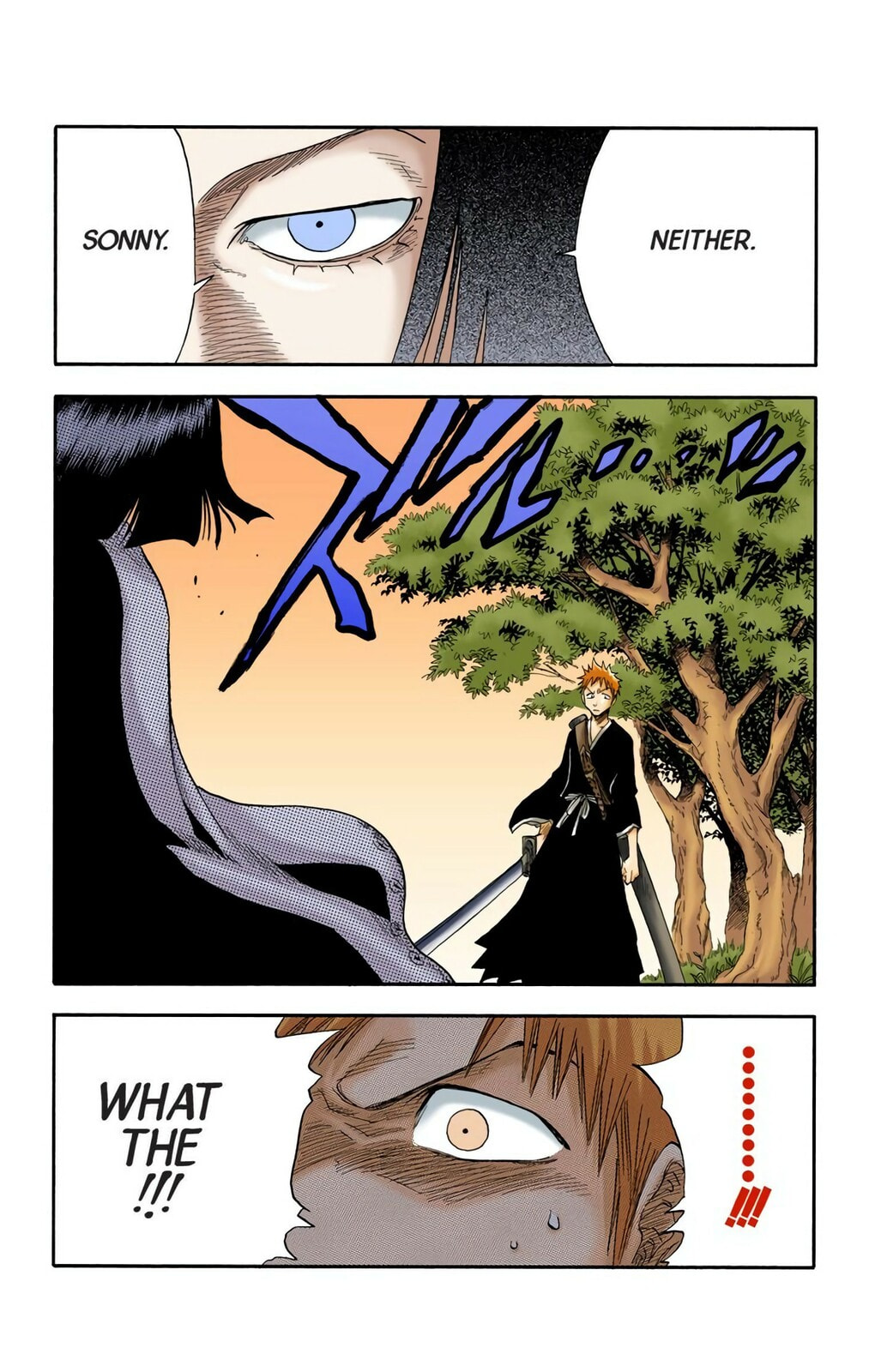 Bleach Colored Manga