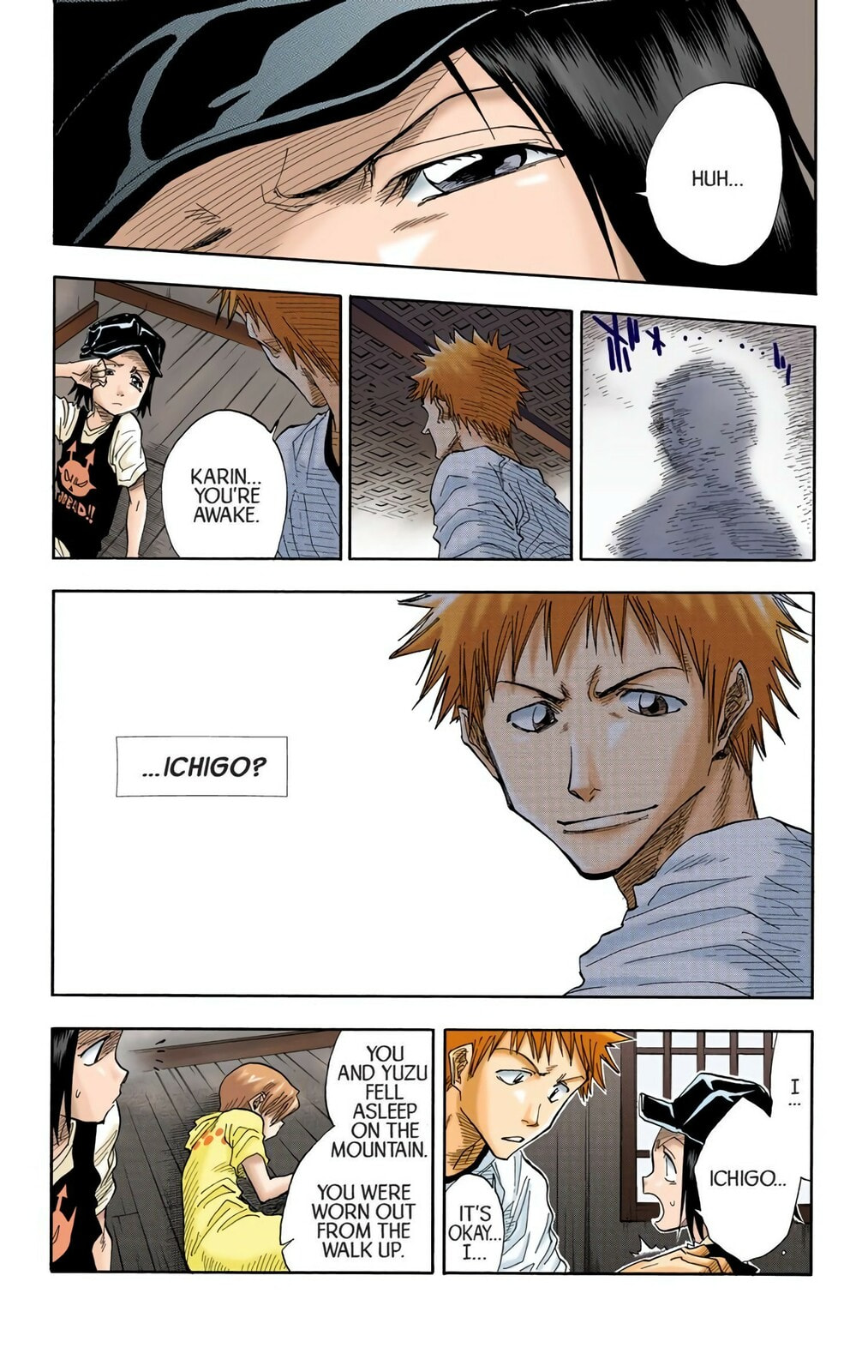 Bleach Colored Manga