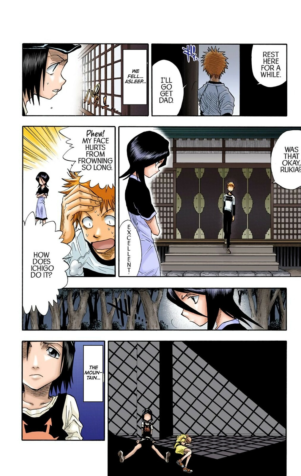 Bleach Colored Manga