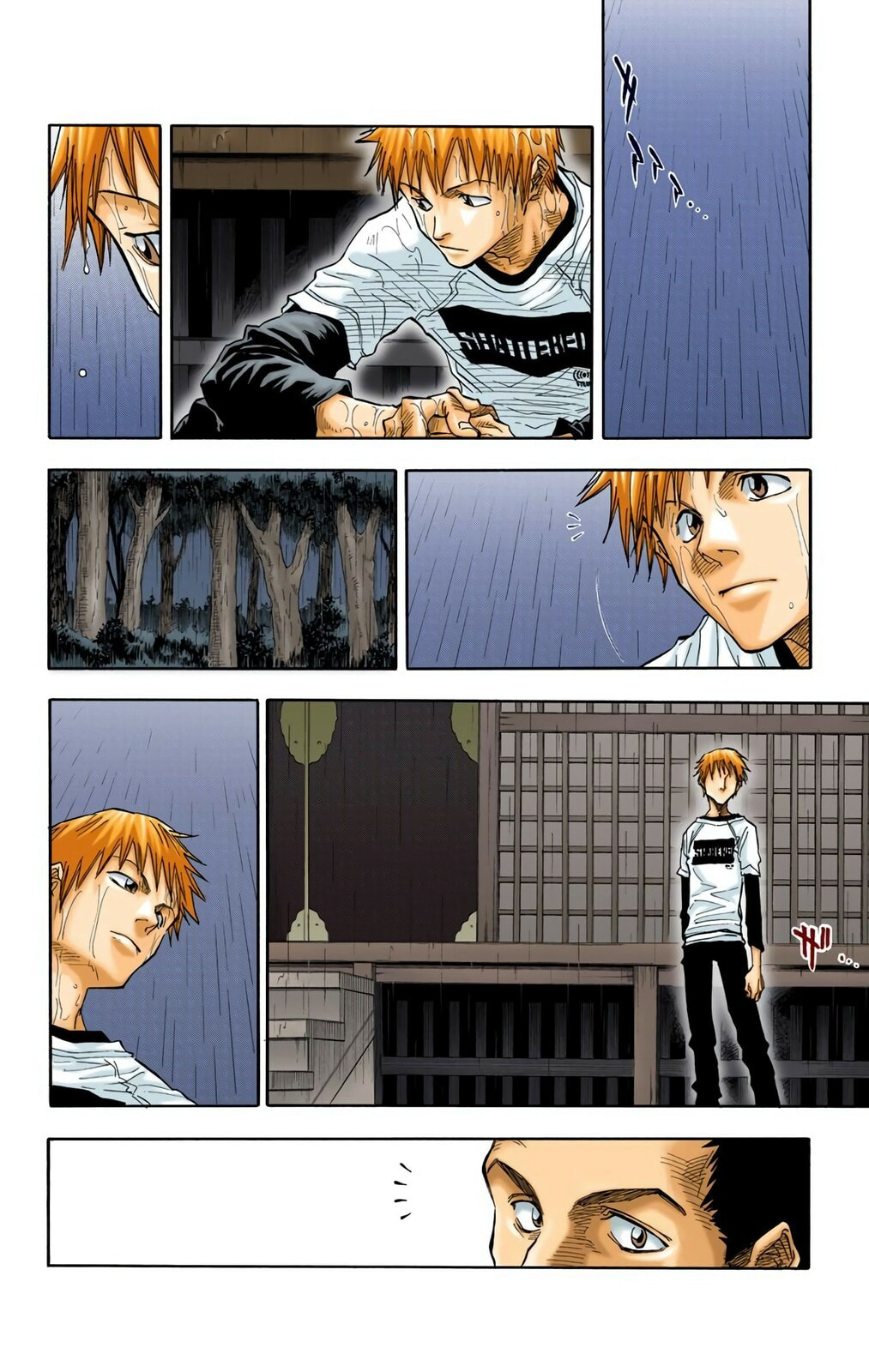 Bleach Colored Manga
