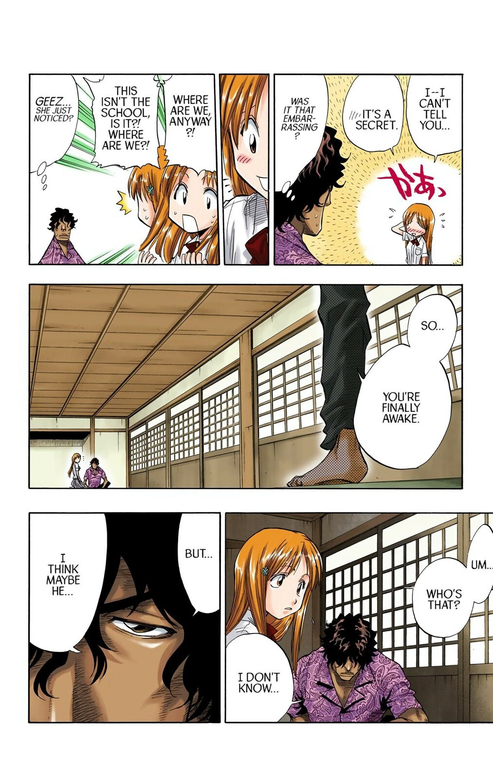 Bleach Colored Manga