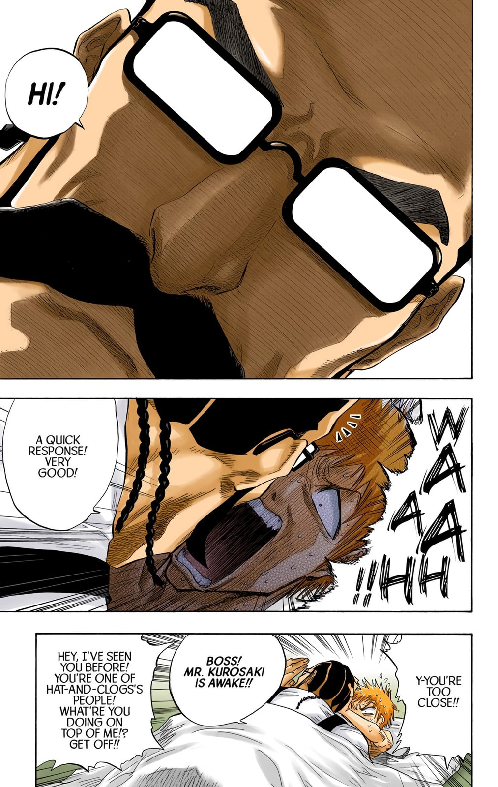 Bleach Colored Manga