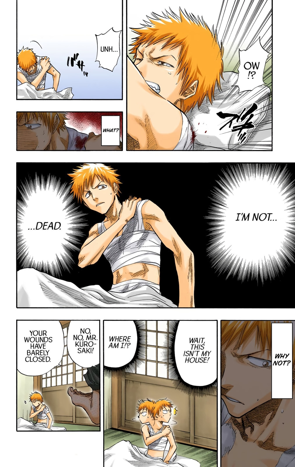 Bleach Colored Manga