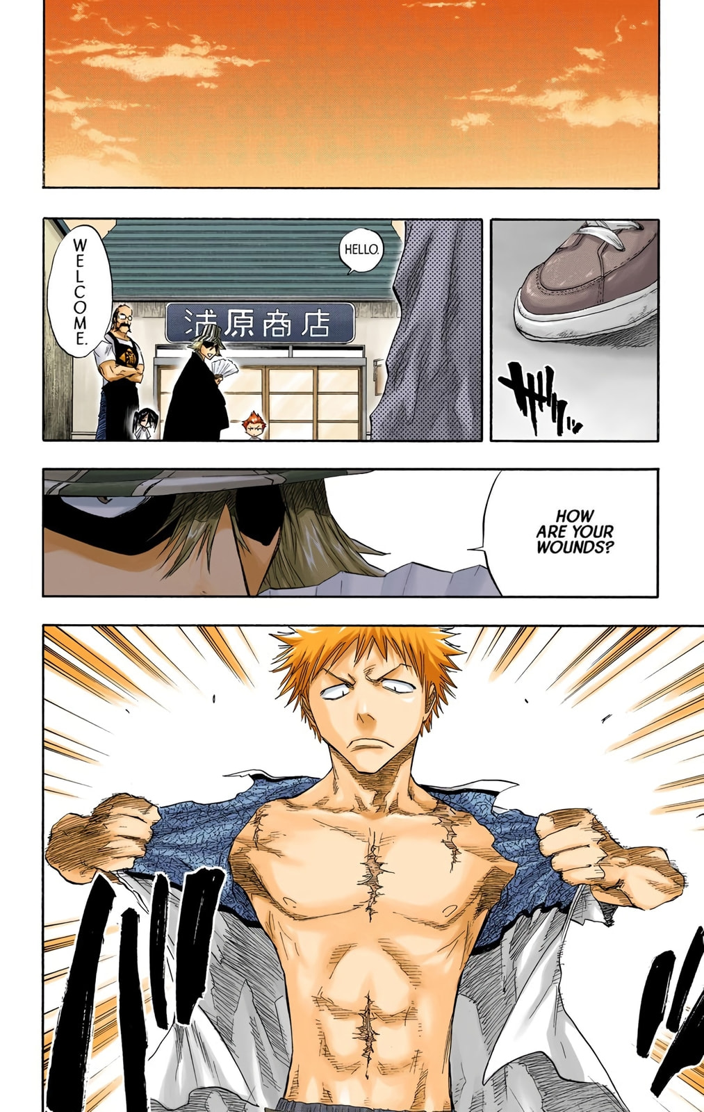 Bleach Colored Manga