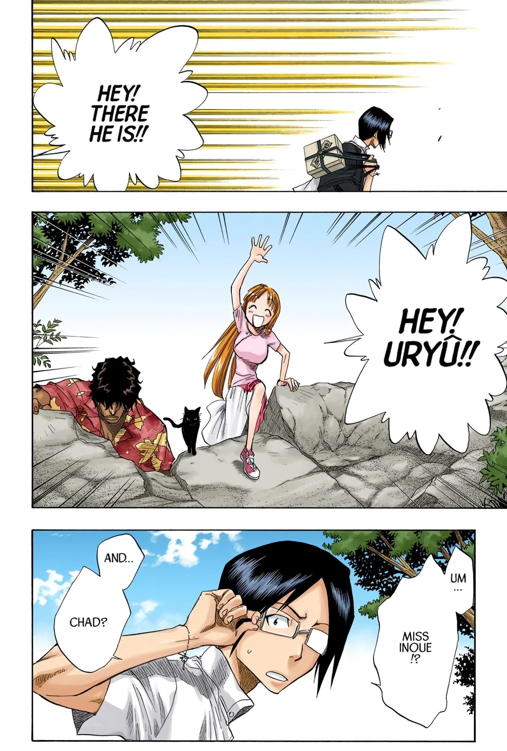 Bleach Colored Manga