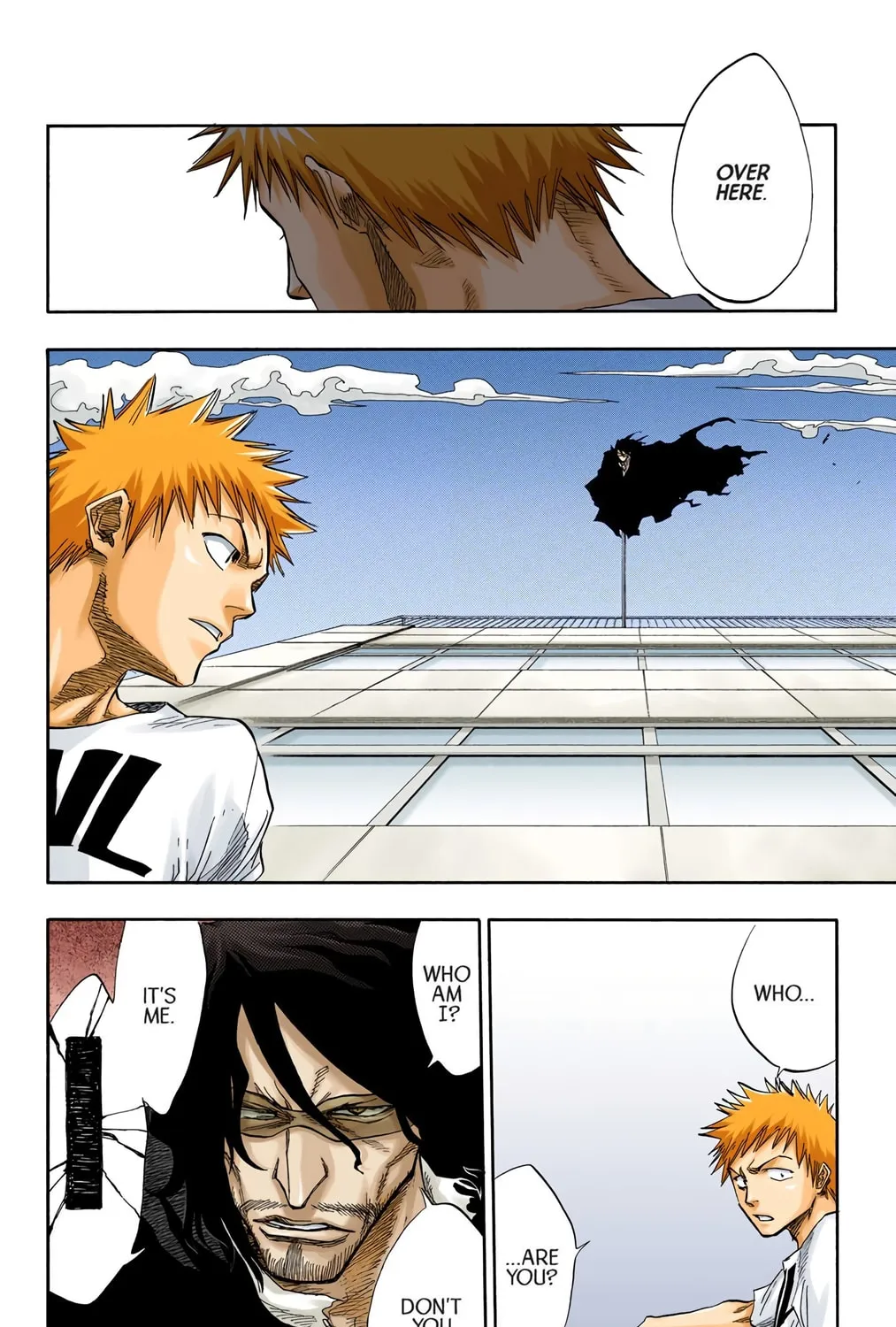 Bleach Colored Manga