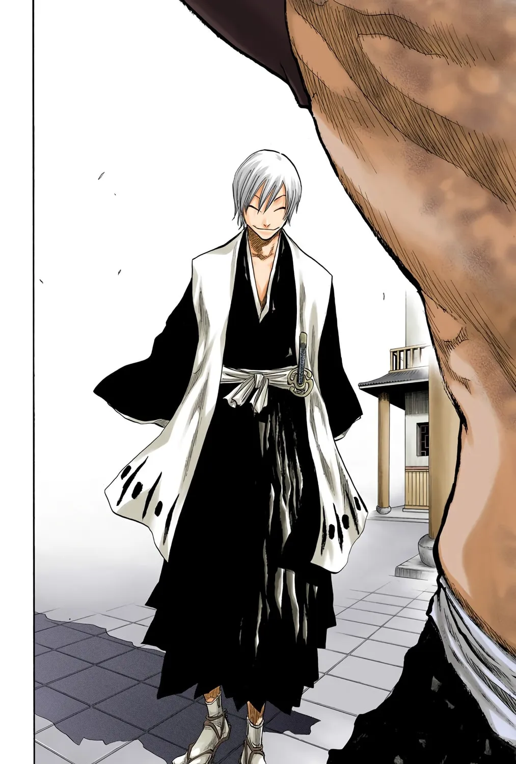 Bleach Colored Manga