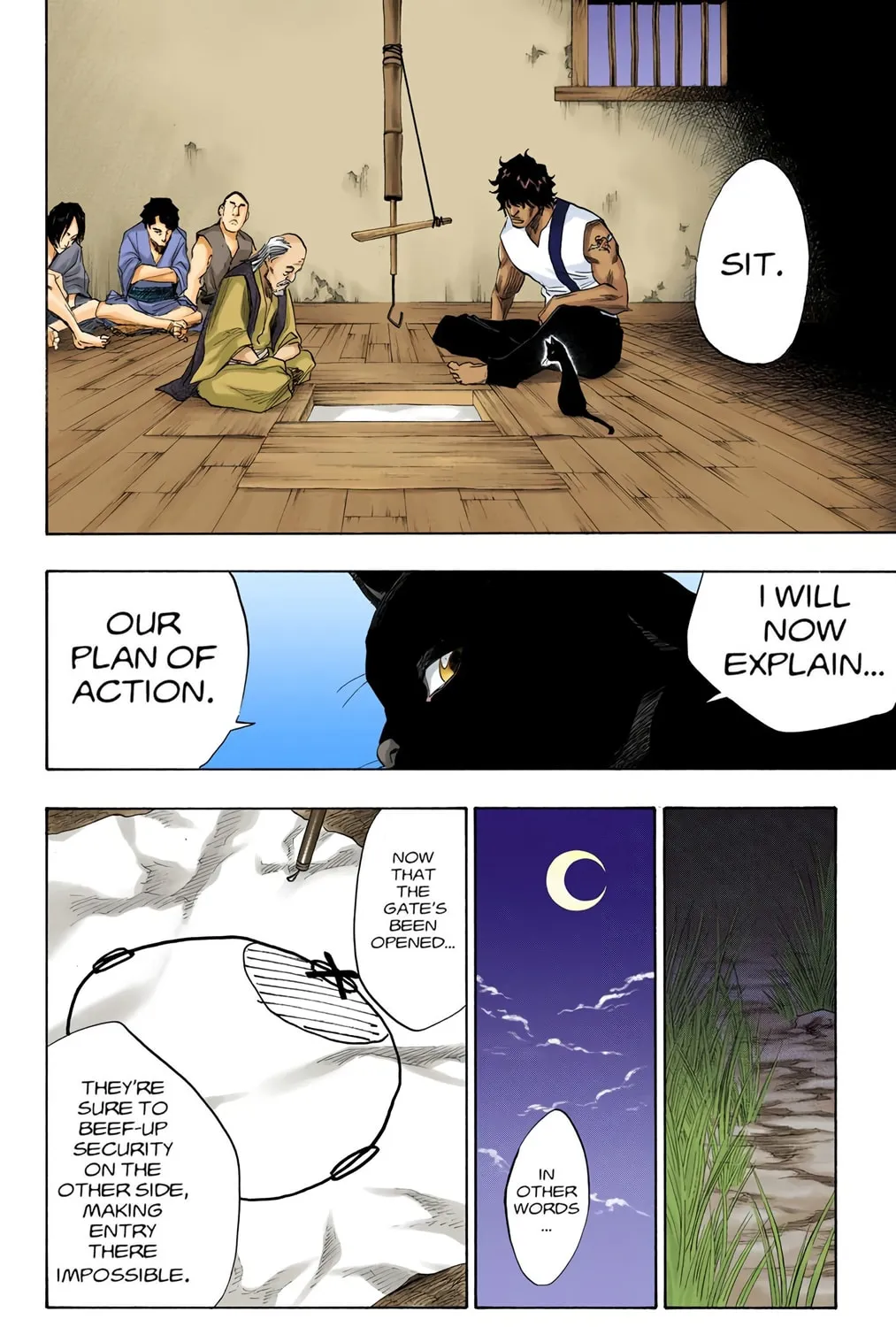 Bleach Colored Manga