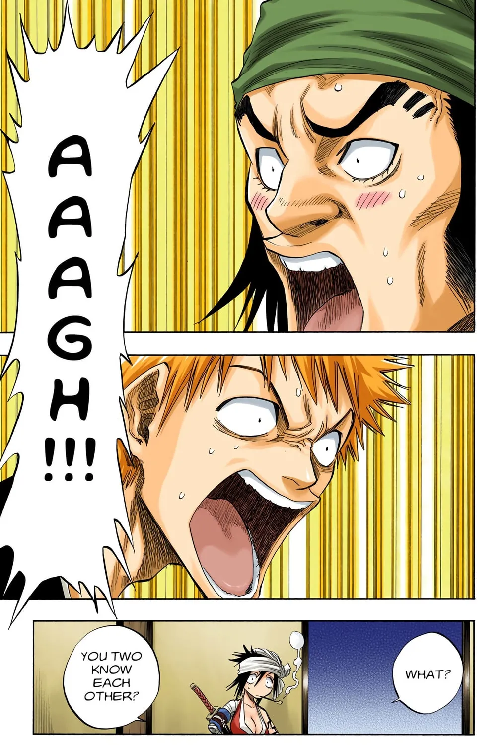 Bleach Colored Manga