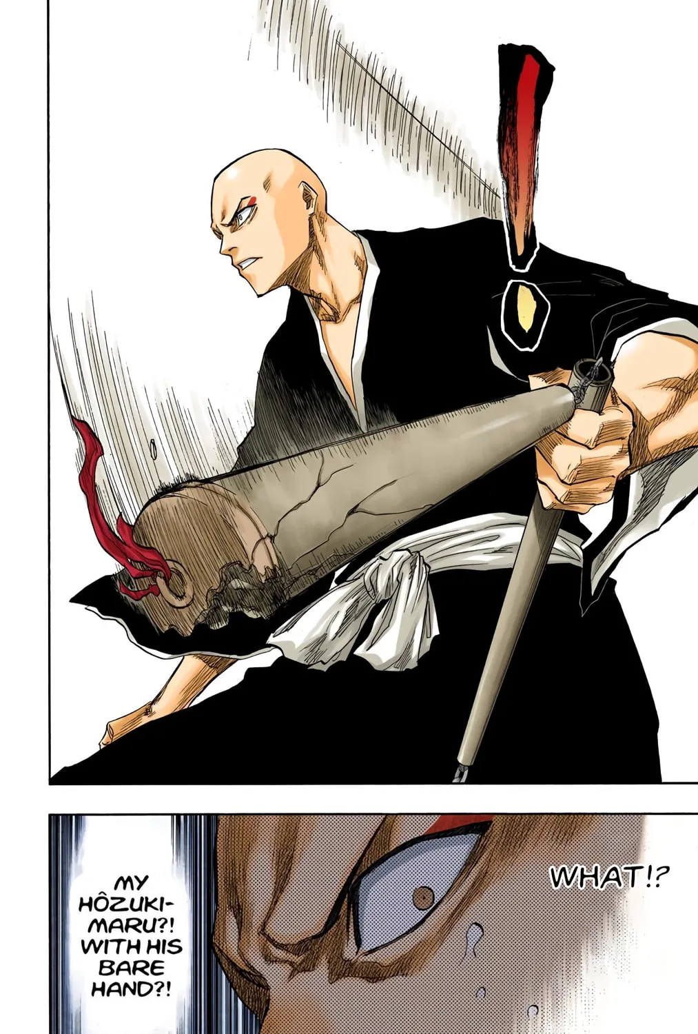 Bleach Colored Manga