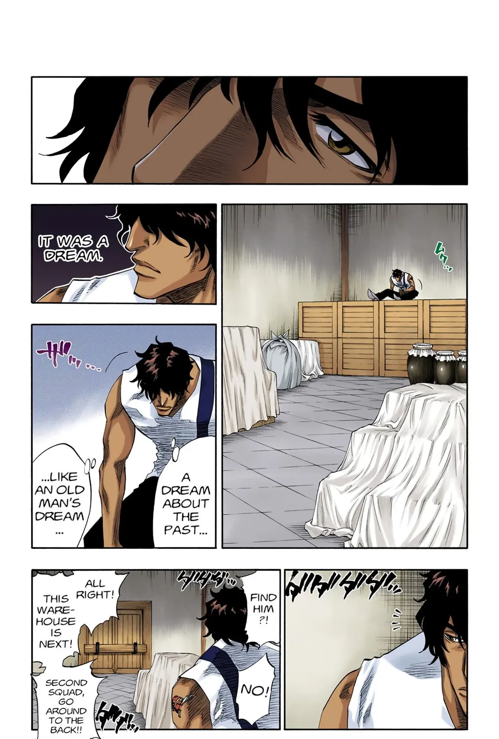 Bleach Colored Manga