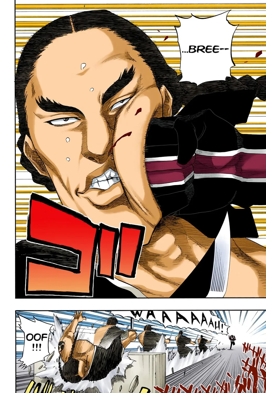 Bleach Colored Manga