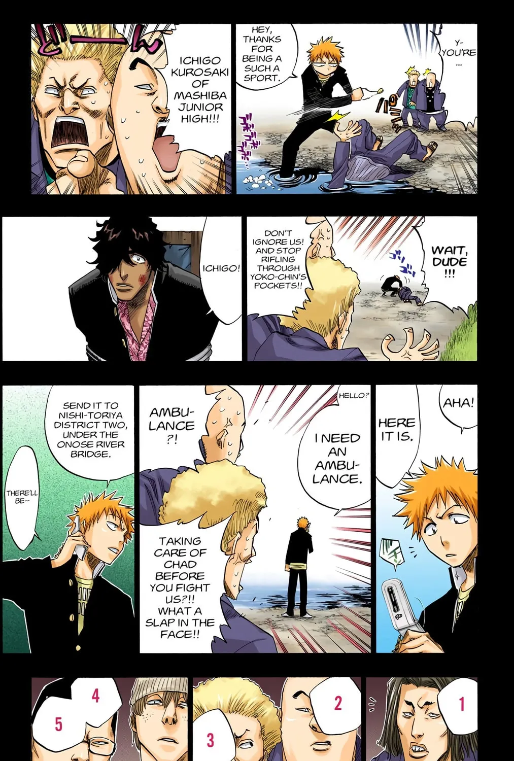 Bleach Colored Manga