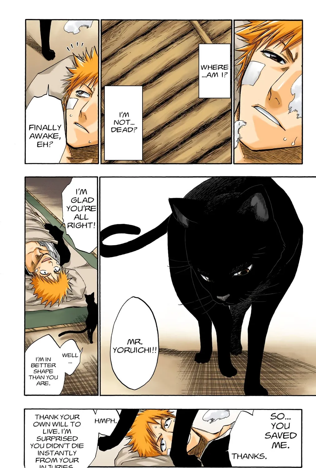 Bleach Colored Manga
