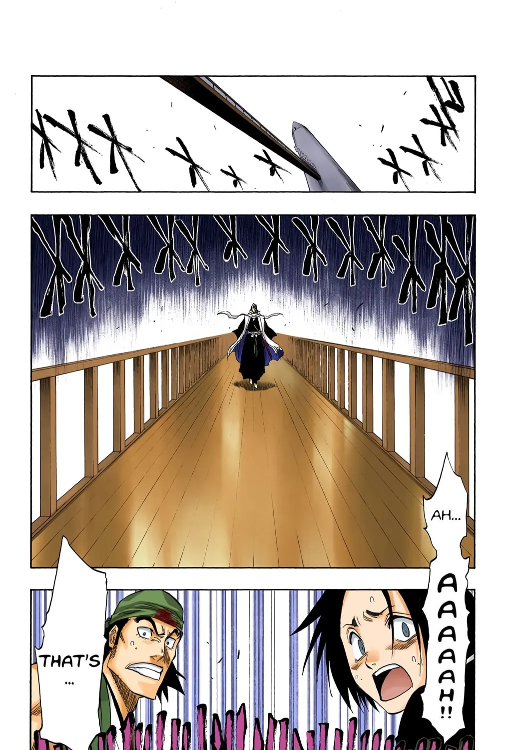 Bleach Colored Manga
