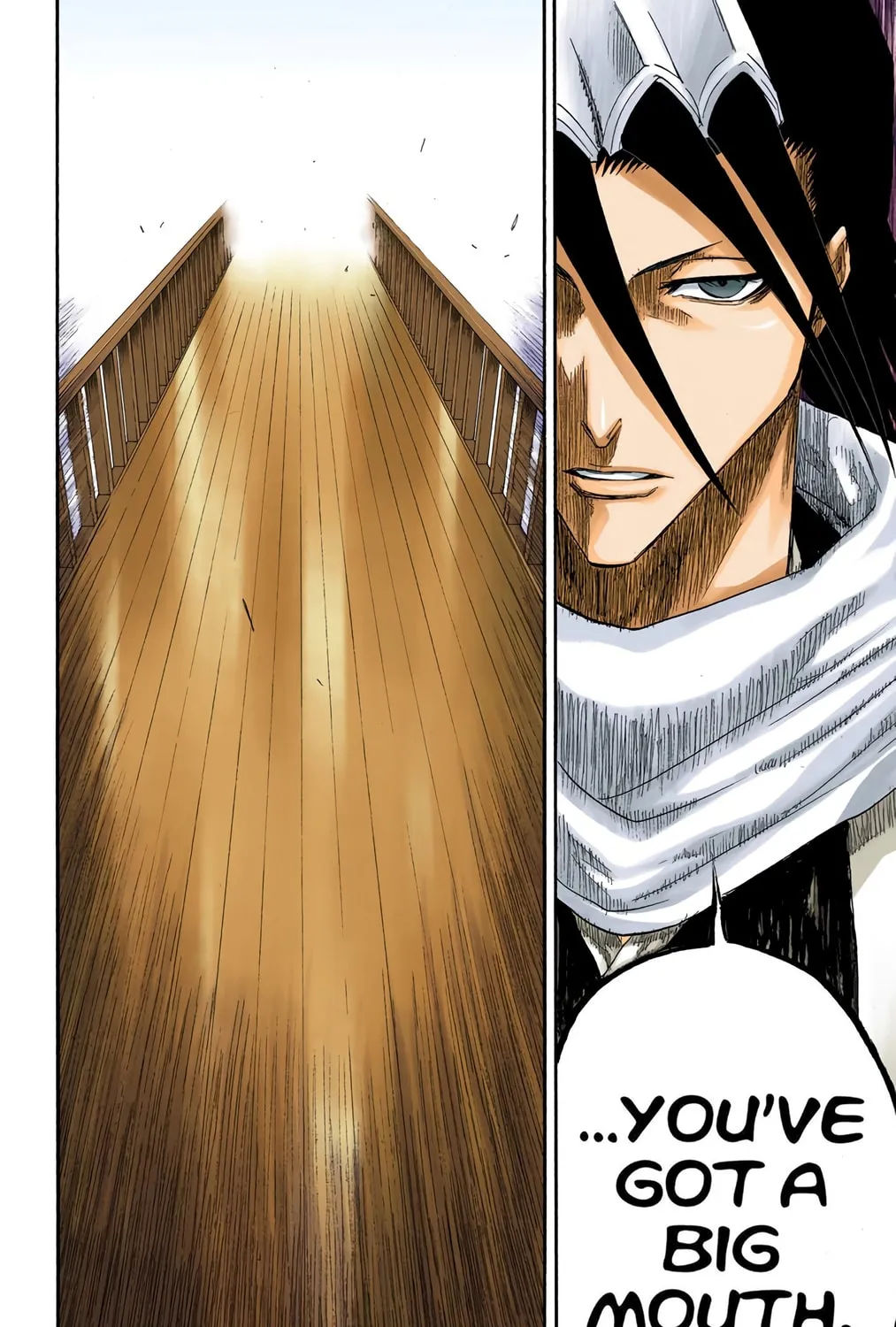 Bleach Colored Manga