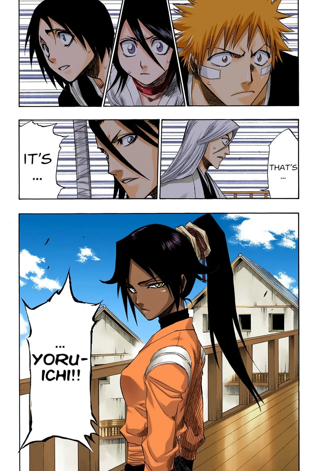 Bleach Colored Manga