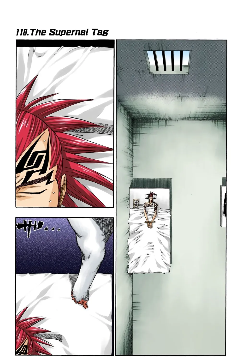 Bleach Colored Manga