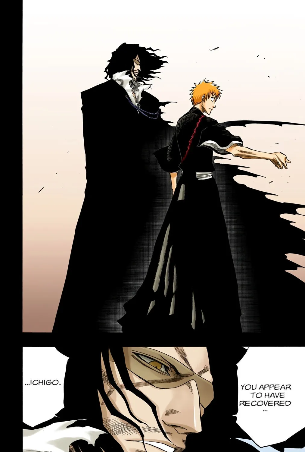 Bleach Colored Manga