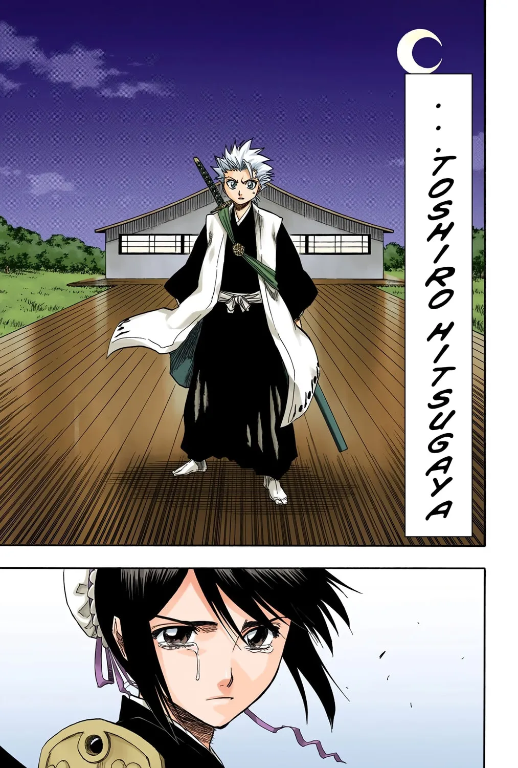 Bleach Colored Manga