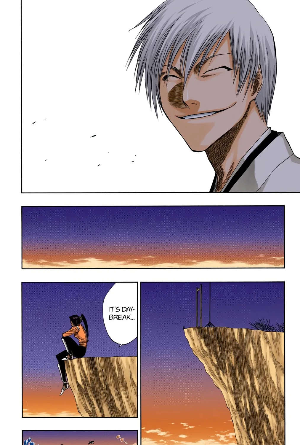 Bleach Colored Manga