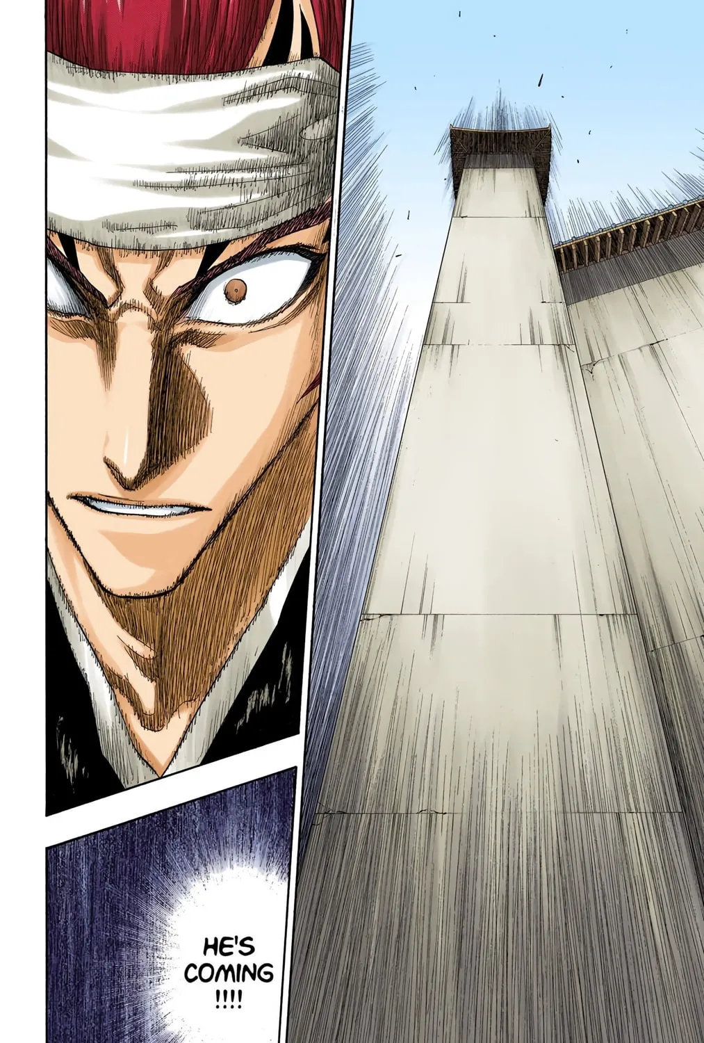 Bleach Colored Manga