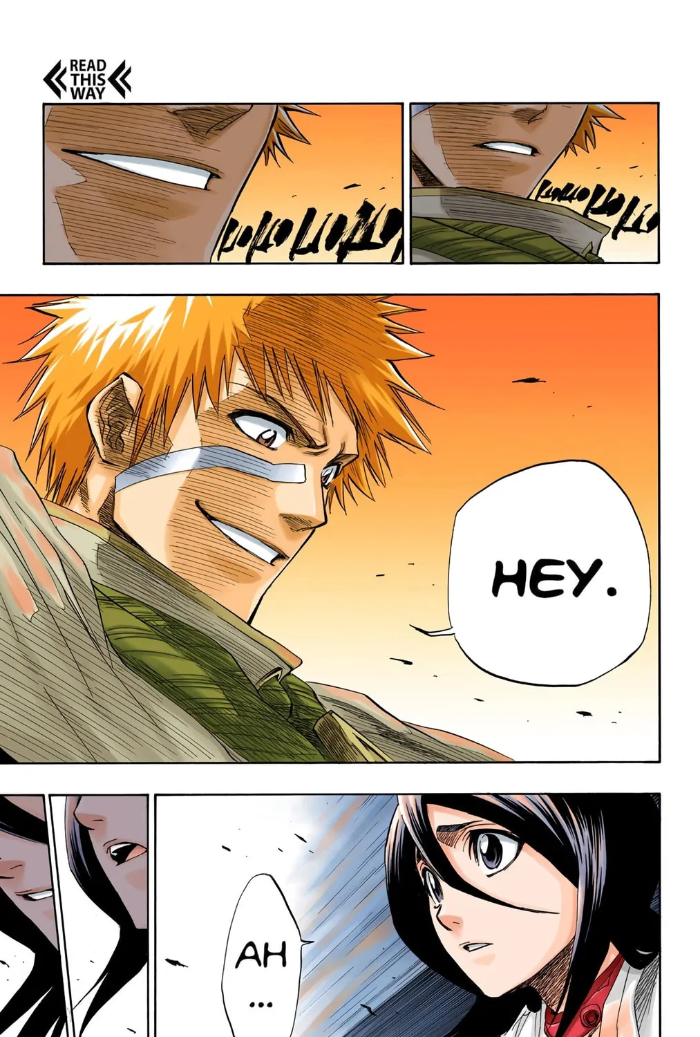 Bleach Colored Manga