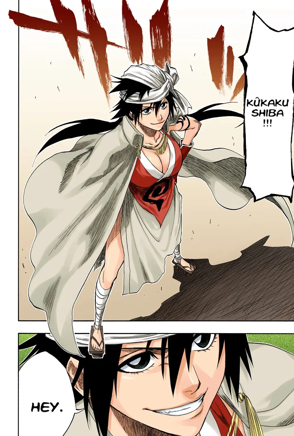 Bleach Colored Manga