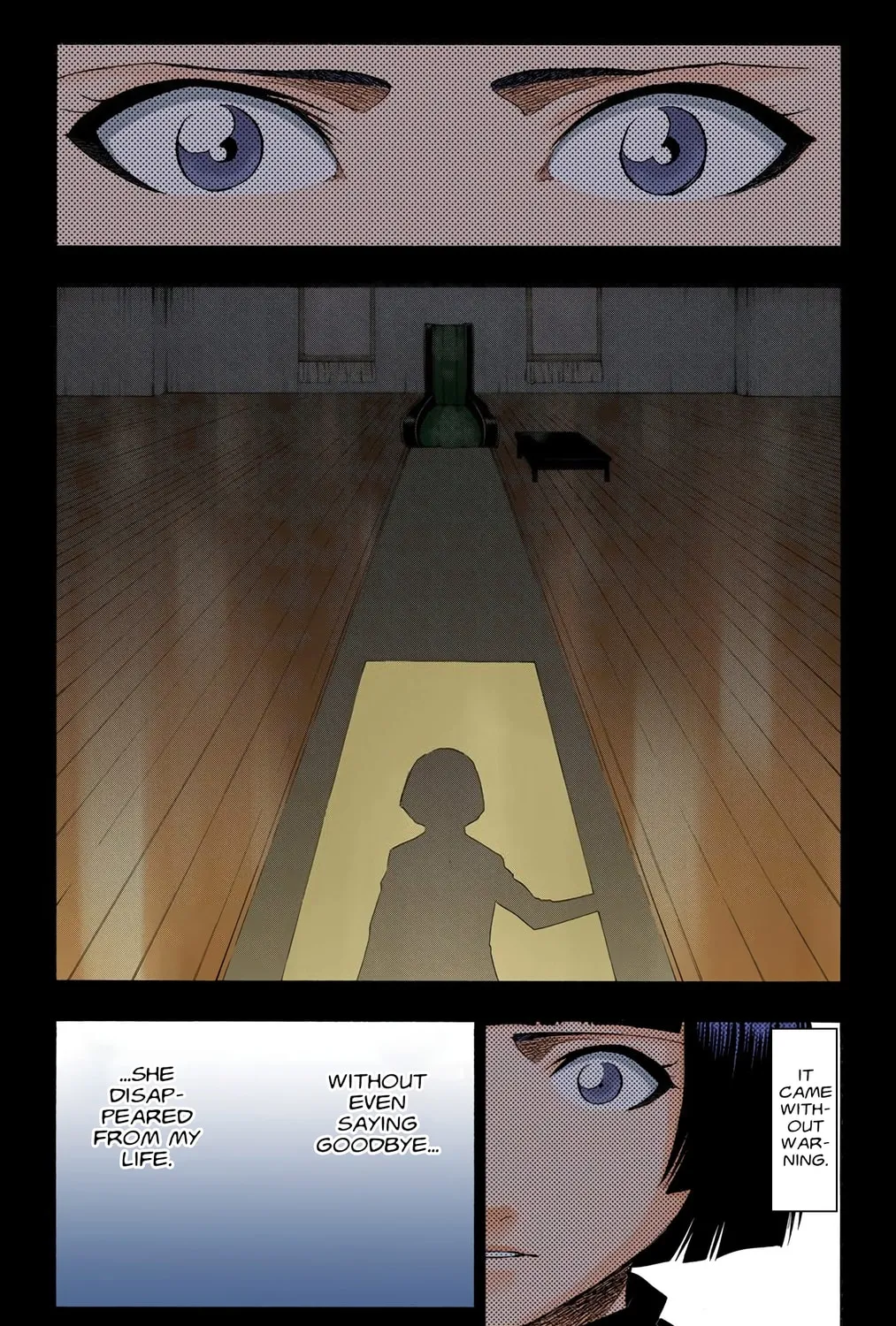 Bleach Colored Manga